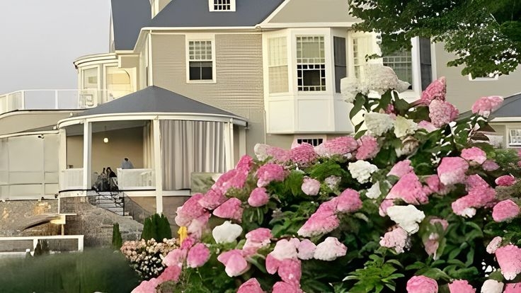 Tử vi vòng quay công nghệ ngày 27/11/2026: Tuổi Sửu không may mắn, tuổi Tỵ  quý nhân phù trợ