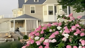 Tử vi vòng quay công nghệ ngày 27/11/2026: Tuổi Sửu không may mắn, tuổi Tỵ  quý nhân phù trợ