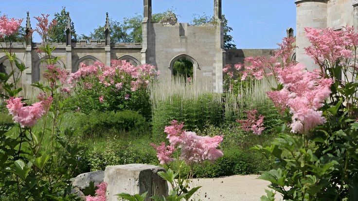 Tử vi vòng quay công nghệ ngày 11/1/2026: tuổi Hợi cần thận trọng, tuổi Thân cơ hội phát triển