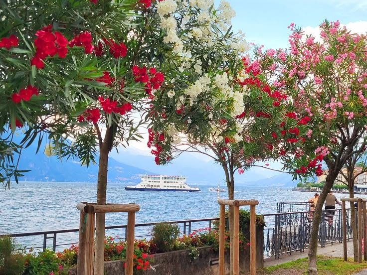 Tử vi vòng quay công nghệ ngày 19/12/2025: Tuổi Dần dễ rước xui xẻo, tuổi Tuất nhiều sự quan tâm