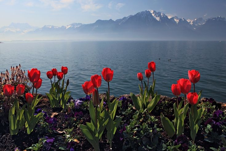 Tử vi vòng quay công nghệ ngày 14/1/2026: Tuổi Tý công việc hanh thông, tuổi Hợi điềm tranh cãi