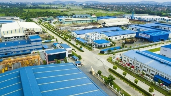 Thị trường chứng khoán 25/6: VN Index đi ngang, thanh khoản sụt giảm