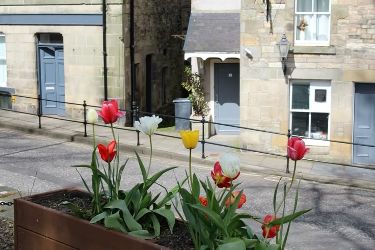 Tử vi vòng quay công nghệ ngày 4/3/2026: Tuổi Mùi cả hung lẫn cát, tuổi Thân công việc may mắn