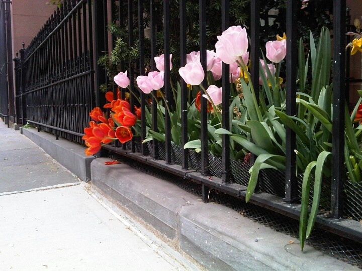 Tử vi vòng quay công nghệ ngày 25/1/2026: Tuổi Tý tình cảm thiếu hài hòa, tuổi Mùi hôm nay thuận lợi