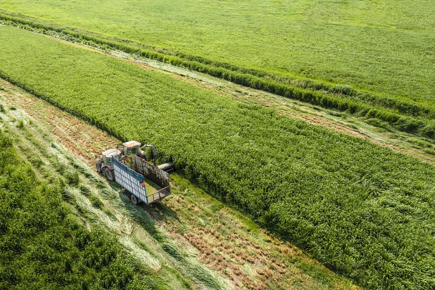 Vinamilk Green Farm - từ resort cho bò đến hộp sữa đạt chuẩn quốc tế