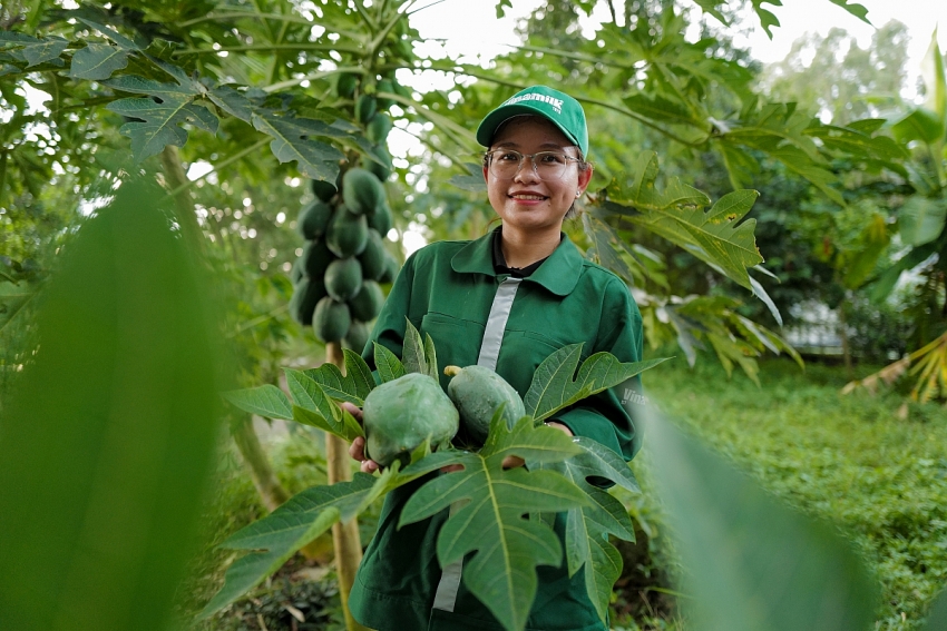 Vinamilk Green Farm - từ resort cho bò đến hộp sữa đạt chuẩn quốc tế