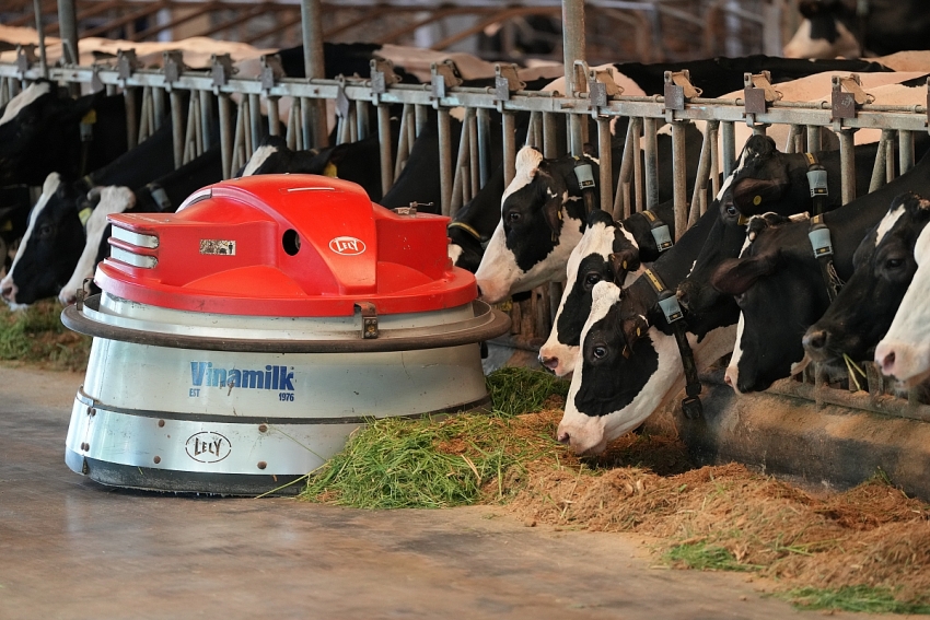 Vinamilk Green Farm - từ resort cho bò đến hộp sữa đạt chuẩn quốc tế