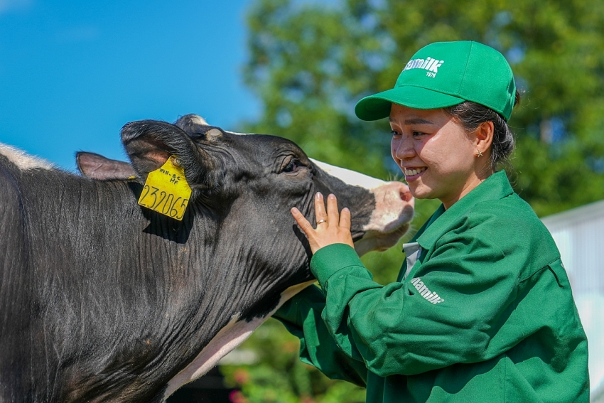 Vinamilk Green Farm - từ resort cho bò đến hộp sữa đạt chuẩn quốc tế