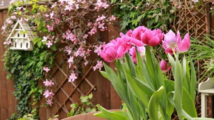 Tử vi vòng quay công nghệ ngày 5/3/2026: Tuổi Tuất gặp vài khó khăn, tuổi Hợi rủng rỉnh tiền bạc