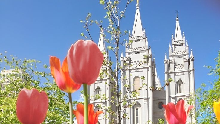 Tử vi vòng quay công nghệ ngày 31/3/2026: Tuổi Dần chật vật, tuổi Mùi vô cùng may mắn