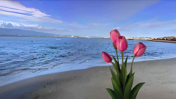 Tử vi vòng quay công nghệ ngày 28/3/2026: Tuổi Tỵ tình cảm hòa thuận, tuổi Thìn cẩn thận lừa gạt