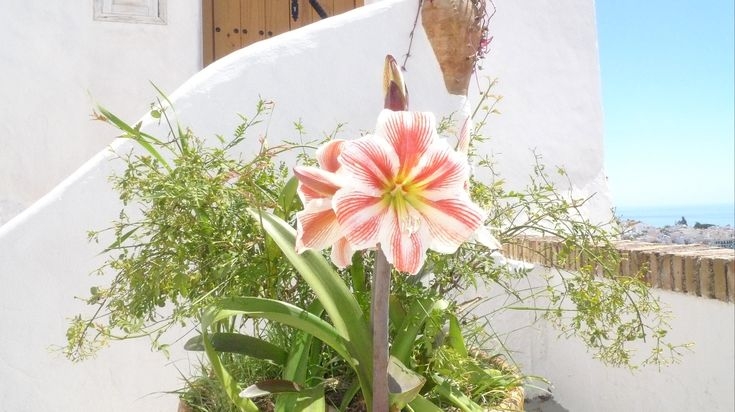 Tử vi vòng quay công nghệ ngày 7/3/2026: Tuổi Thân dễ vướng vào tranh lợi, tuổi Dần suôn sẻ