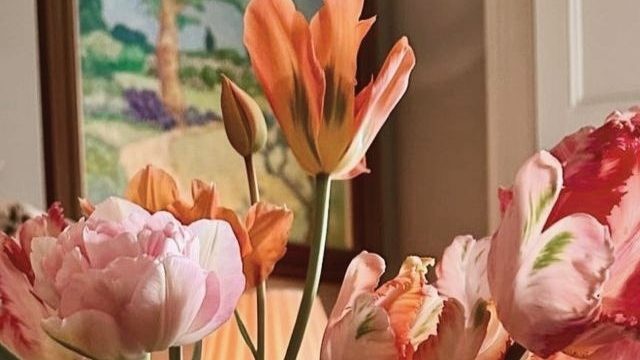 Tử vi vòng quay công nghệ ngày 16/3/2026: Tuổi Tuất nhiều biến cố, tuổi Mão quý nhân phù trợ