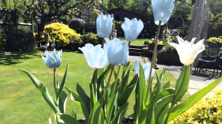 Tử vi vòng quay công nghệ ngày 5/4/2026: Tuổi Dậu may mắn, tuổi Dần nhiều rắc rối