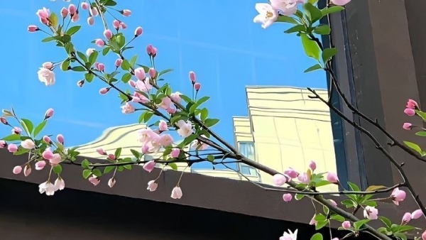 Tử vi vòng quay công nghệ ngày 31/3/2026: Tuổi Dần chật vật, tuổi Mùi vô cùng may mắn