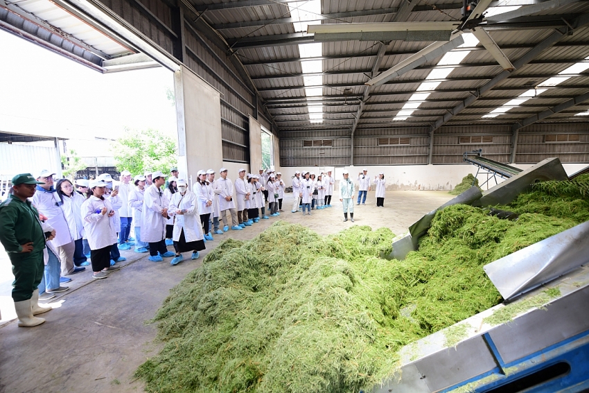 Vinamilk “Mở khóa tự nhiên” tại Green Farm: Mô hình sinh thái truyền cảm hứng doanh nghiệp.