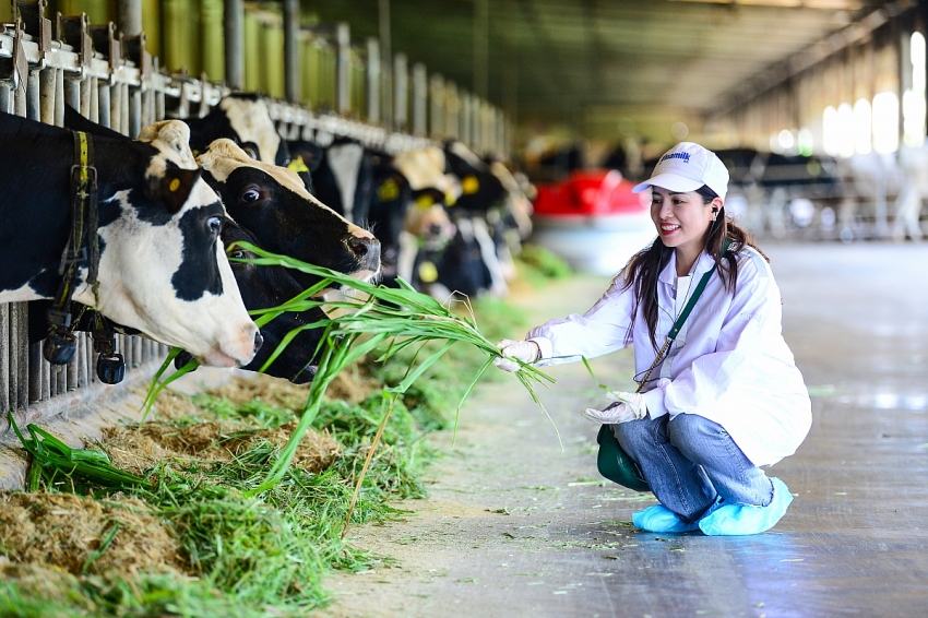 Vinamilk “Mở khóa tự nhiên” tại Green Farm: Mô hình sinh thái truyền cảm hứng doanh nghiệp.