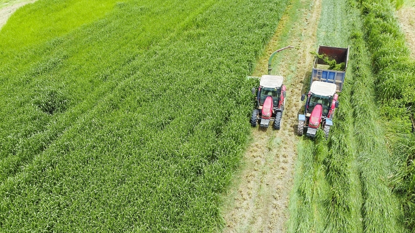 Vinamilk “Mở khóa tự nhiên” tại Green Farm: Mô hình sinh thái truyền cảm hứng doanh nghiệp.