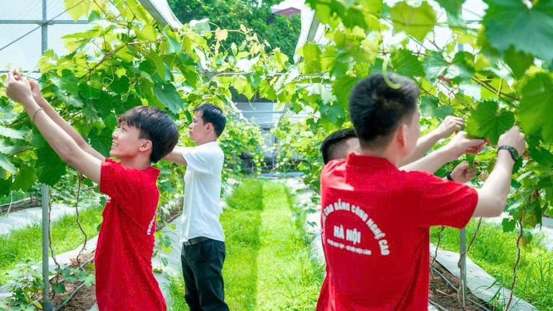 Trường Cao đẳng Công nghệ cao Hà Nội (HHT) tuyển sinh 4000 chỉ tiêu, đào tạo 45 ngành năm 2025