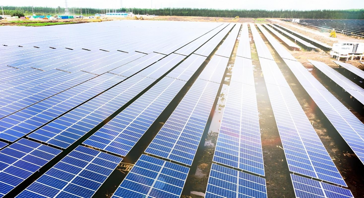BCG Energy (BGE) bất ngờ chuyển lãi thành lỗ sau kiểm toán