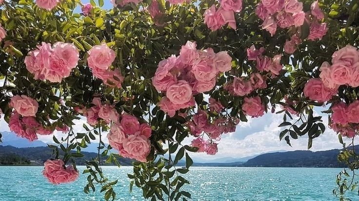 Tử vi vòng quay công nghệ ngày 3/2/2026: Tuổi Tỵ mất kiểm soát, tuổi Mùi sức khỏe cải thiện