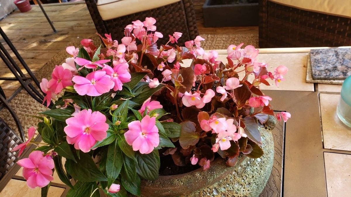 Tử vi vòng quay công nghệ ngày 11/1/2026: tuổi Hợi cần thận trọng, tuổi Thân cơ hội phát triển