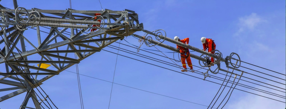 EVN chuyển mình mạnh mẽ, báo lãi hơn 8.200 tỷ đồng năm 2024