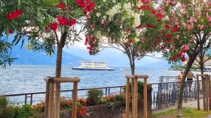 Tử vi vòng quay công nghệ ngày 9/3/2026: Tuổi Mùi quý nhân soi đường, tuổi Dậu đối diện với nhiều áp lực