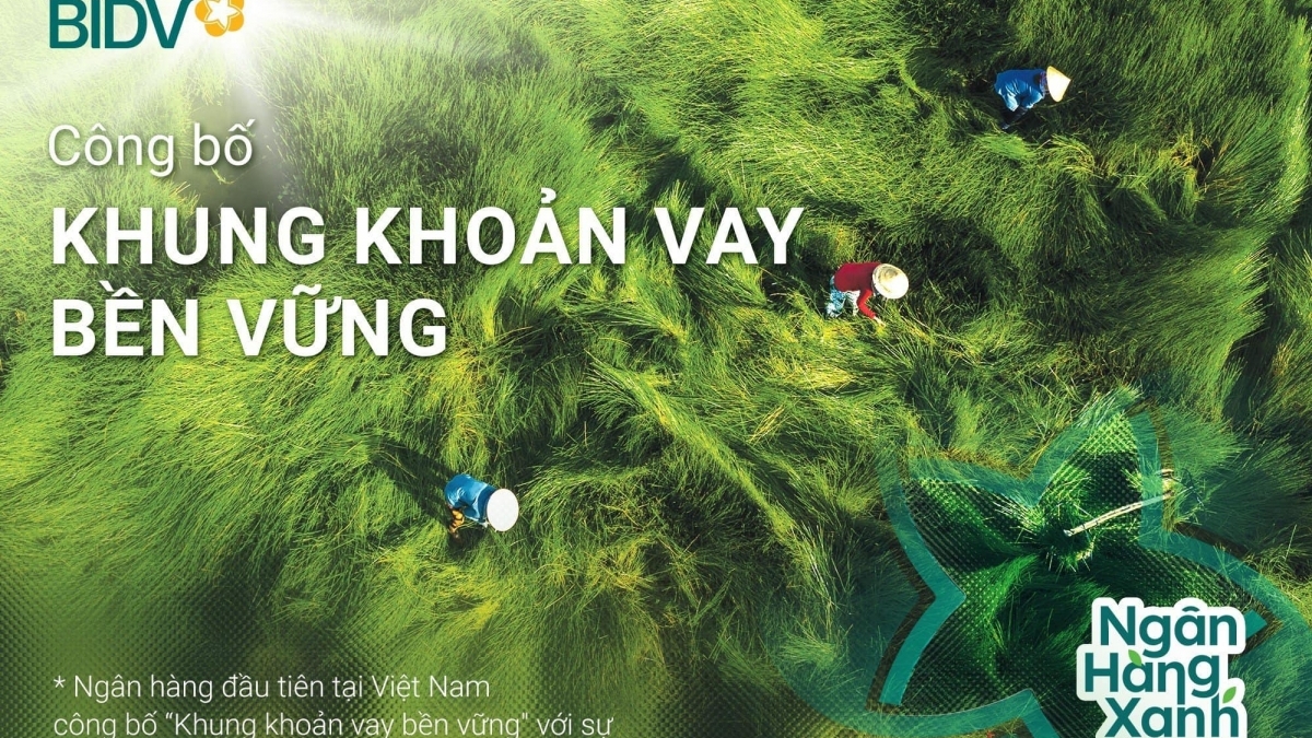 BIDV vào top 20 cổ phiếu phát triển bền vững nhất Việt Nam  lần thứ II liên tiếp