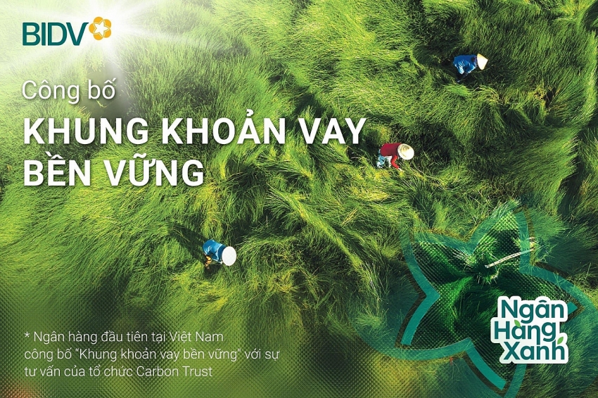 BIDV vào top 20 cổ phiếu phát triển bền vững nhất Việt Nam  lần thứ II liên tiếp