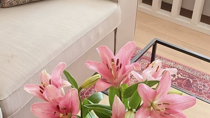 Tử vi vòng quay công nghệ ngày 7/8/2025: Tuổi Tý cần đề phòng, tuổi Tuất một ngày thuận lợi