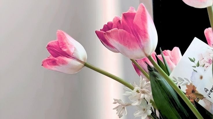 Tử vi vòng quay công nghệ ngày 28/3/2026: Tuổi Tỵ tình cảm hòa thuận, tuổi Thìn cẩn thận lừa gạt