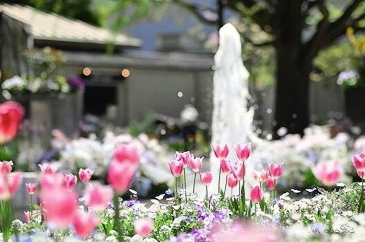 Tử vi vòng quay công nghệ ngày 8/4/2026: Tuổi Tỵ không mấy suôn sẻ, tuổi Thân khá trôi chảy