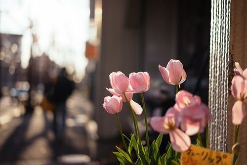 Tử vi vòng quay công nghệ ngày 12/4/2026: Tuổi Tuất khá thăng trầm, tuổi Dần vấp phải trở ngại