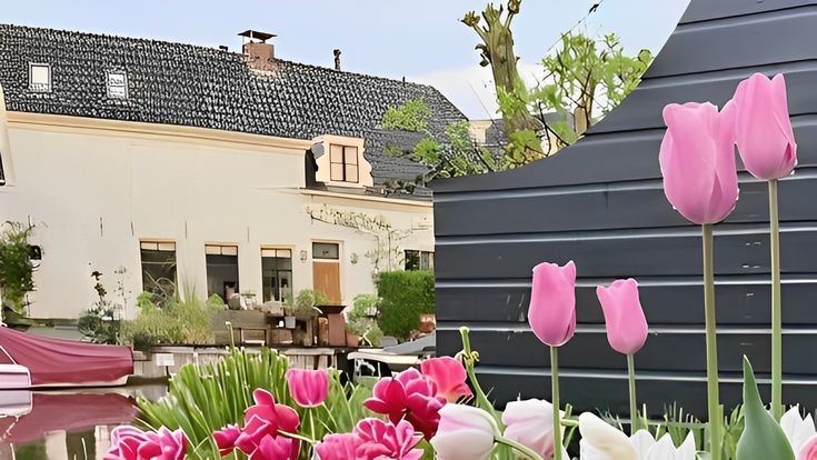 Tử vi vòng quay công nghệ ngày 20/4/2026: Tuổi Tỵ vướng phải mâu thuẫn, tuổi Mùi nhiều cơ hội