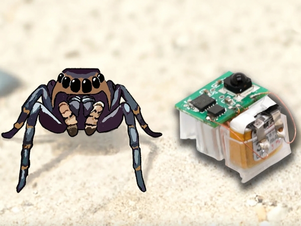 Công nghệ mô phỏng cơ bắp giúp robot siêu nhỏ vượt địa hình dễ dàng