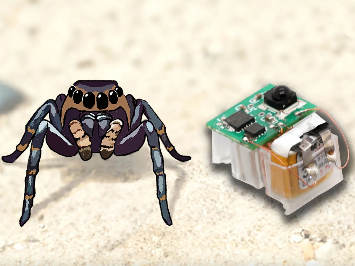 Công nghệ mô phỏng cơ bắp giúp robot siêu nhỏ vượt địa hình dễ dàng