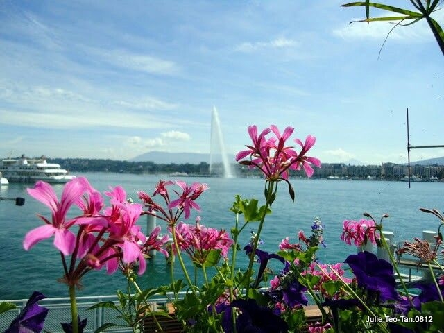 Tử vi vòng quay công nghệ ngày 14/1/2026: Tuổi Tý công việc hanh thông, tuổi Hợi điềm tranh cãi