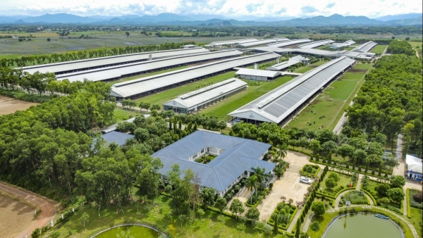 Lần đầu tiên, Vinamilk được xếp hạng sức mạnh thương hiệu xuất sắc, vượt trội toàn cầu