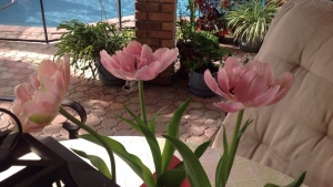 Tử vi vòng quay công nghệ ngày 25/2/2026: Tuổi Mão tương đối thuận lợi, tuổi Dâu gặp phải khó khăn