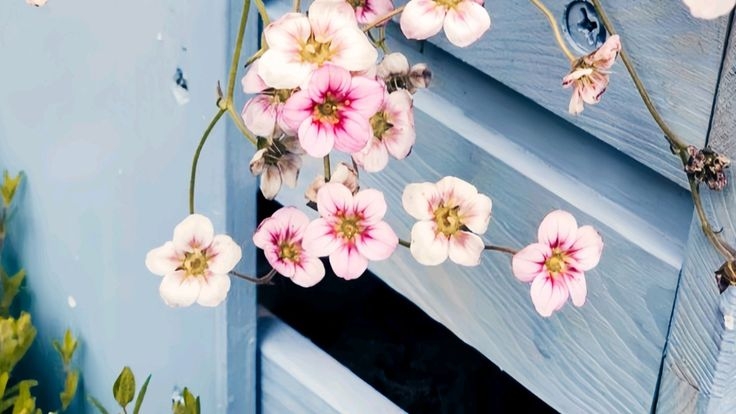 Tử vi vòng quay công nghệ ngày 22/8/2025:Tuổi Hợi gặp trục trặc, tuổi Thìn thuận buồm xuôi gió