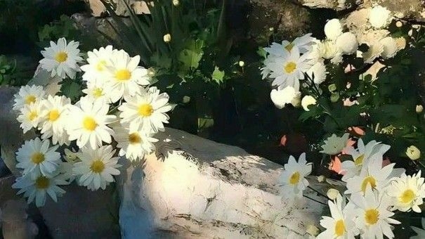 Tử vi vòng quay công nghệ ngày 22/8/2025:Tuổi Hợi gặp trục trặc, tuổi Thìn thuận buồm xuôi gió