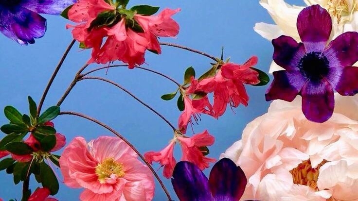 Tử vi vòng quay công nghệ ngày 17/3/2026: Tuổi Dần cần kiên nhẫn, tuổi Ngọ nhận tin vui