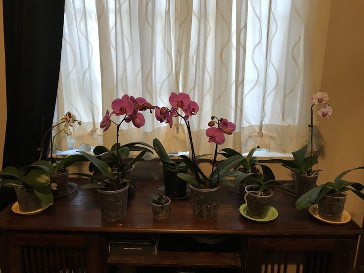 Tử vi vòng quay công nghệ ngày 11/2/2026: Tuổi Tý gặp nhiều may mắn, tuổi Thìn đem lại xui xẻo