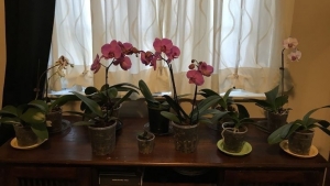 Tử vi vòng quay công nghệ ngày 11/2/2026: Tuổi Tý gặp nhiều may mắn, tuổi Thìn đem lại xui xẻo