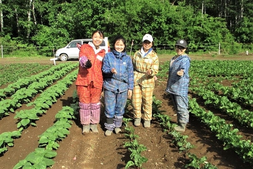 Việt Nam - Hokkaido, kết nối công nghệ, phát triển nguồn nhân lực trẻ trong nông nghiệp