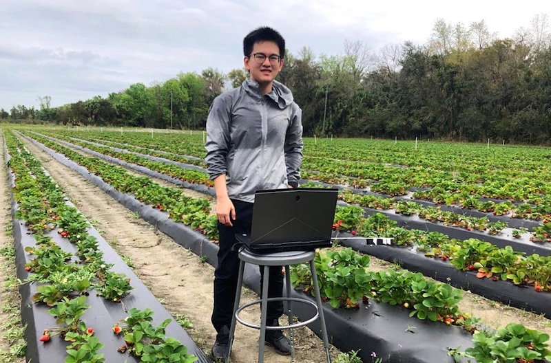 Robot hái dâu tích hợp AI: Bước tiến mới hướng tới thương mại hóa thu hoạch tự động