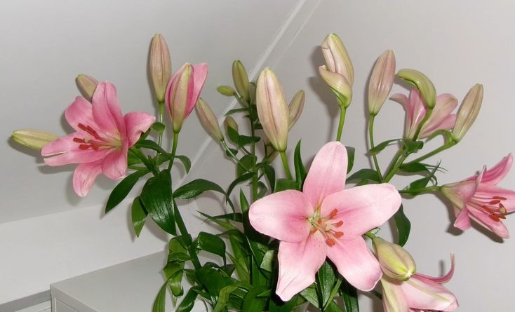 Tử vi vòng quay công nghệ ngày 8/3/2026: Tuổi Thân công việc suôn sẻ, tuổi Sửu dễ cáu gắt