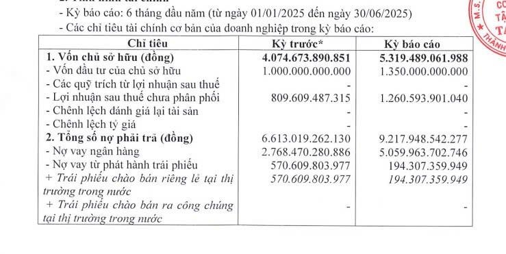 Taseco Group bứt tốc nửa đầu năm 2025: Lợi nhuận tăng vọt 68%