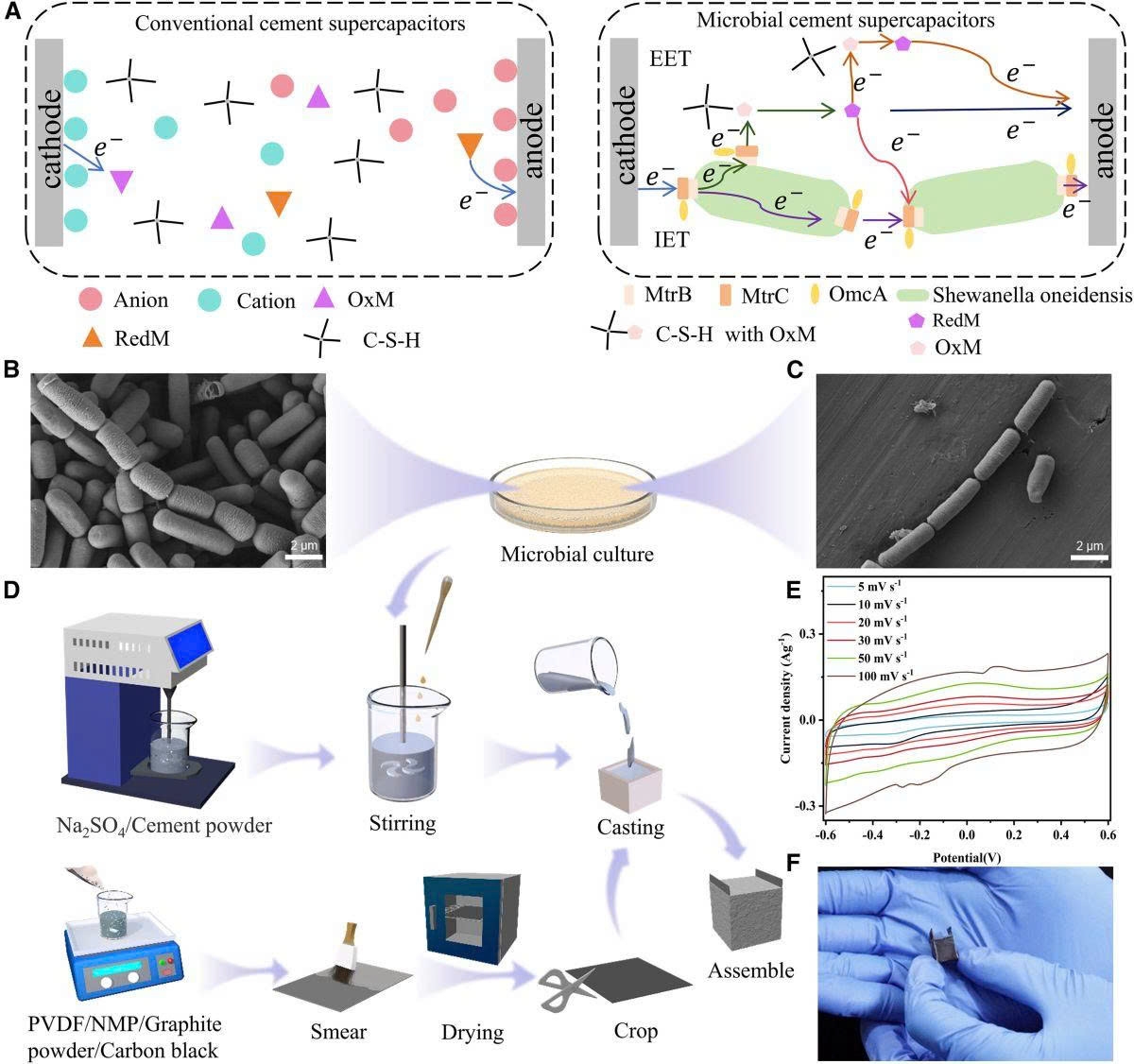 Khái niệm cơ bản, đặc tính vi sinh và quy trình chế tạo của Xi măng “sống”. Ảnh: Cell Reports Physical Science (2025). 